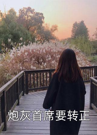 爱如灰烬：追不回的曾经叶思阿念结局+番外小说